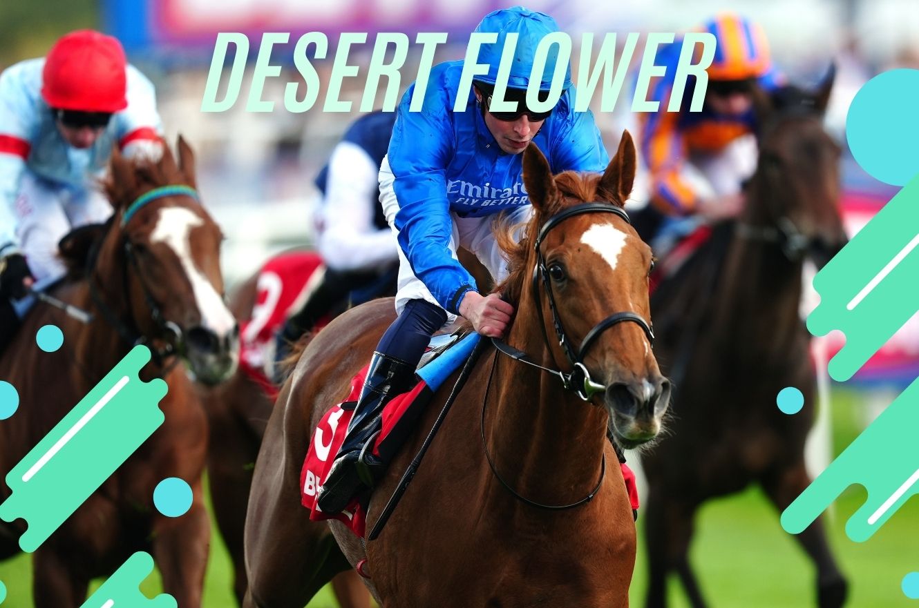 Desert Flower Secures Betfred May Hill Stakes Win, Eyes 1000 Guineas sports news